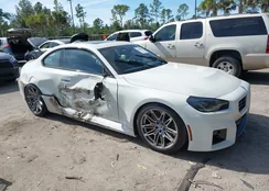 3MF23DM00S8F30671: 44190568