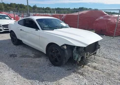 1FA6P8TH7H5263340: 44190024