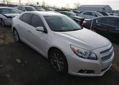 1G11J5SX5DF213014: 44190305