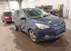 1FMCU0GX9EUA70659: 44191852