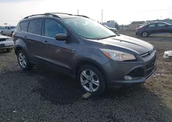 1FMCU9G92DUD80494: 44192467