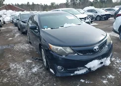 4T1BF1FK1EU404202: 44192559