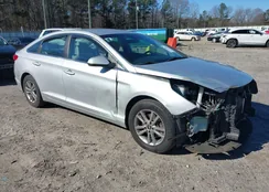 5NPE24AF8HH471810: 44192777