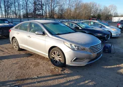 5NPE24AF7HH487934: 44192908