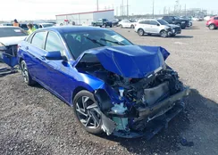 KMHLS4DG8RU680639: 44193536