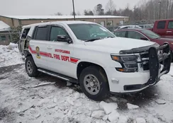 1GNSK3EC2FR574621: 44193800