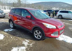 1FMCU0GX4EUA26729: 44193113