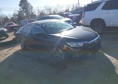 2HGFC1F38GH640554: 44194645