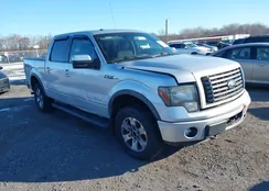 1FTFW1ET4BKD66360: 44194751