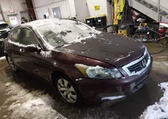 1HGCP2F81AA079810: 44194780