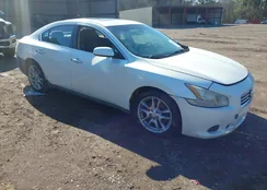 1N4AA5AP0EC490395: 44194786