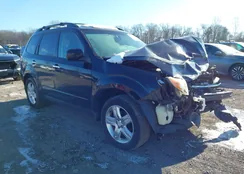 JF2SH63699H787177: 44194968