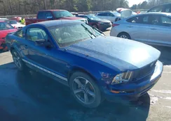 1ZVFT80N775349081: 44194040