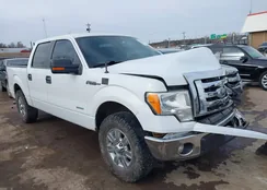 1FTFW1CTXCKD23341: 44194047