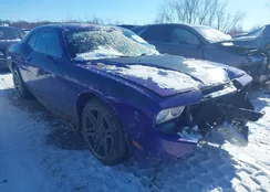 2C3CDYBT9DH671499: 44194311