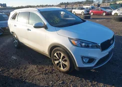 5XYPHDA57HG312928: 44195664