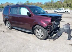 5FNYF4H58DB085850: 44195134