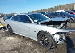 2C3CDXCT3PH536144: 44195135