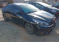 3KPF54AD0PE619252: 44195186