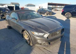 1FATP8UH4F5376435: 44195235