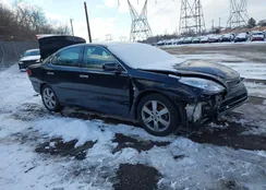 JTHBA30G965156116: 44195292