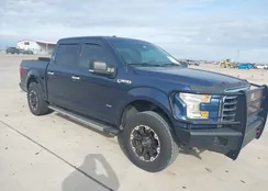 1FTEW1CG1FKD41021: 44196170