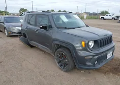 ZACNJDE19PPP15064: 44196231