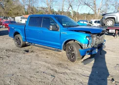 1FTEW1C47KFC96868: 44196370