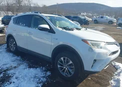 JTMRJREV9JD211625: 44197817