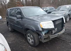 5FNYF4H29FB010213: 44197854