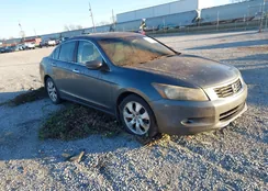 1HGCP368X8A064237: 44197974