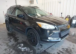 1FMCU0GX9FUB46219: 44197981