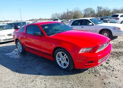 1ZVBP8AM7D5207494: 44197989