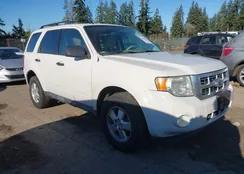 1FMCU0D76CKC67821: 44197008