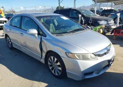 19XFA1F84AE033604: 44197329