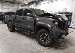 3TYCZ5AN5PT161997: 44198701