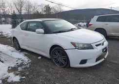 JTKJF5C79C3031459: 44198364