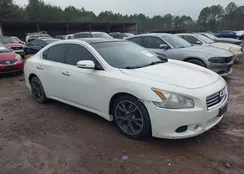 1N4AA5AP1EC912495: 44199440