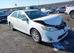 4T1BF1FK6CU572902: 44199716