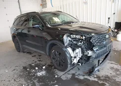 5XYRLDLC9MG001658: 44199742