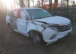 5FNYF6H37GB007767: 44199761