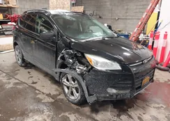 1FMCU9G92GUC49344: 44199782