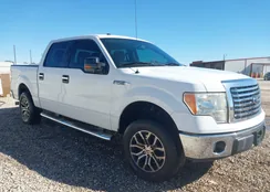 1FTFW1CV5AFD71756: 44199929