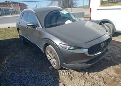 3MVDMBDL1MM265730: 44199936