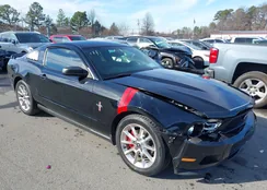 1ZVBP8AM2B5153566: 44199944