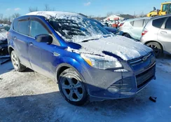 1FMCU0GX2DUB37584: 44200408