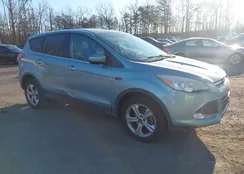 1FMCU0GXXDUB09998: 44200971