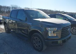 1FTEW1EG2GFD39477: 44200061