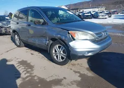 5J6RE4H59AL014845: 44201805