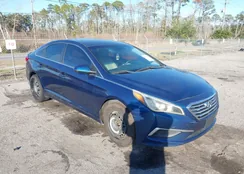 5NPE24AF3HH504535: 44201976